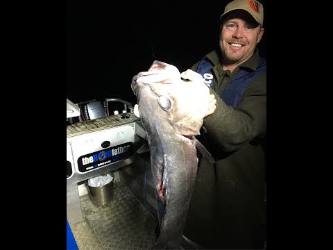 DEEP SEA FISHING NEW ZEALAND - Groper off the Kaikoura Coast