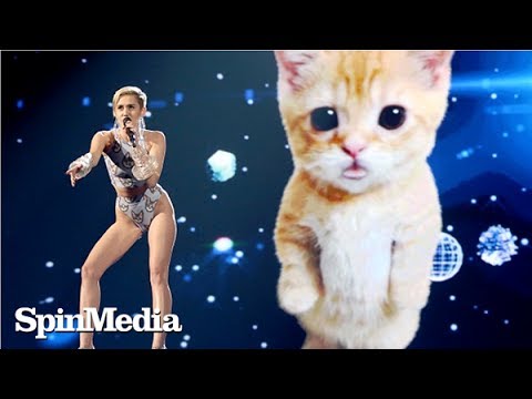 Miley Cyrus Performs In Front of a Sad Cat and Steals the Show at the AMA's


