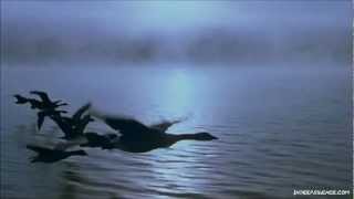 Nick Cave - To Be By Your Side.