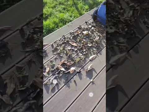 Gręžtuvas - Einhell 18/40 Li Bl Solo video