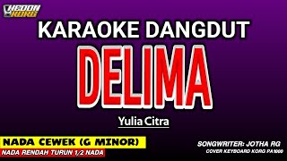 Download lagu DELIMA KARAOKE DANGDUT - NADA WANITA mp3