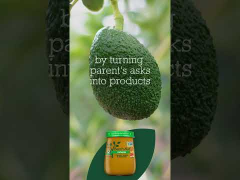Beechnut - motion graphics concept