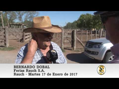 17-01-17 Nota Bernardo Dobal - Ferias Rauch S.A. - Rauch.