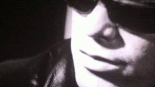 [Lou Reed] Waves Of Fear (Cover) - Frans Schuman