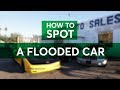 Flooded Cars How To Spot One Before You Buy Consumer Reports
