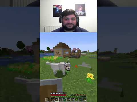 DillanPlayzGamez - LOL them dog arrows are craaaazy 🤣 - Hardcore Minecraft