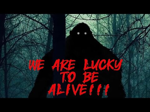 Monster Mondays episode 3 | Disaster of  the Bearilla