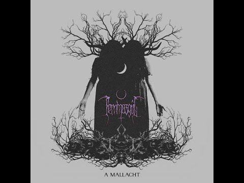 Feminazgûl - A Mallacht (single)