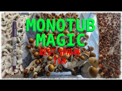 Correctly Spawning a Monotub To Get Full Canopies