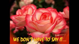 Download lagu WE DON'T HAVE TO SAY THE WORDS by Gerard Joling mp3