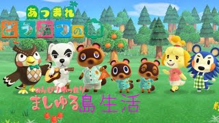 あつまれどうぶつの森　南半球