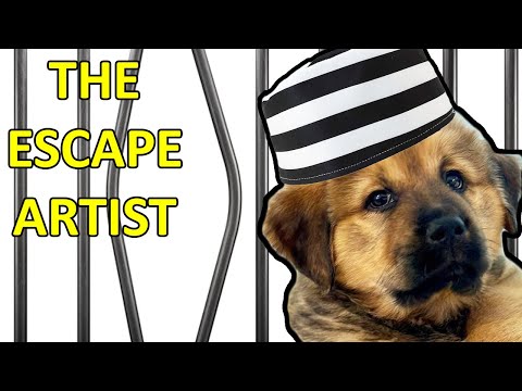 Kaya Pulls a Prison Break | Hasanabi Morning Recap 5/15