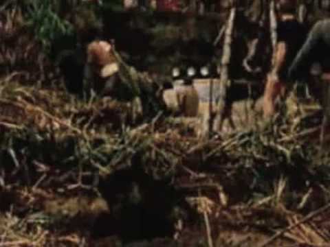 Camel Trophy 1982 Papua New Guinea (Brighter)