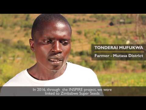 download lagu mp3 mp4 What Is A Sugar Bean, download lagu What Is A Sugar Bean gratis, unduh video klip What Is A Sugar Bean