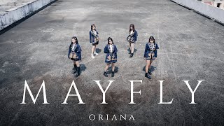 Cover art for Mayfly