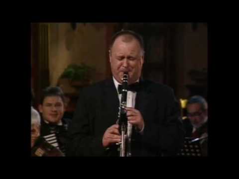 Aca Antic   Cigancica