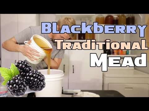 Making a Blackberry Traditional Mead