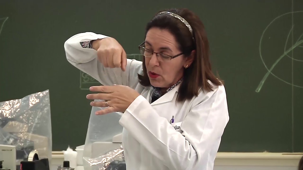 Aula 2 (Prática) Postulados de Koch: Associação constante + isolamento  (2/3)