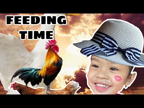 Raysha & Rayqal Feeding Chicken & Goose | Raysha & Rayqal Feeding Animals
