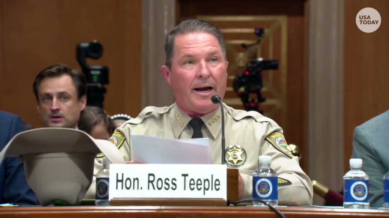 Sheriff: Flock paves way for 'AI-driven surveillance state' but 'common sense policing' means viable