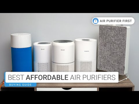 Top 5 Affordable Air Purifiers for 2023: Breathe Fresh Air on a Budget!