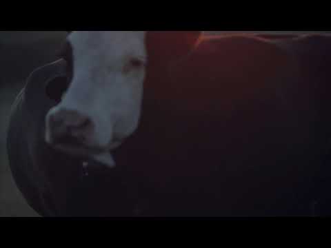 Come onto Peelham farm