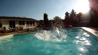 Josie Dog Jumping in the pool (Spindrift - Speak to the Wind).mp4