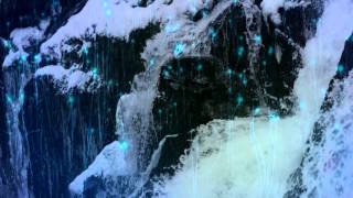 Detunicare - Sarah Fimm (From the new album "Adaquarium")