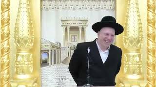 הרב ליאור גלזר בן תורה בלי ריח קורע מצחוק