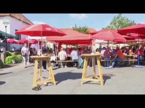 Erdäpfelkirtag Wiener Neudorf