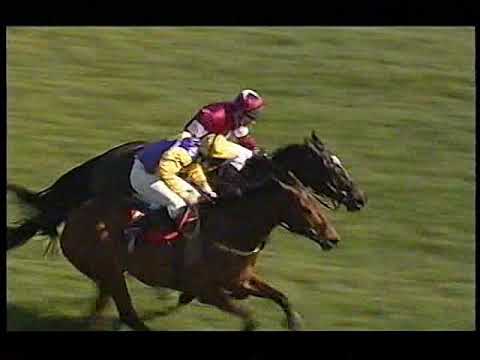 2004 Supreme Novice's Hurdle  Brave Inca Includes Post Race