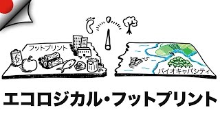 エコロジカル・フットプリント
