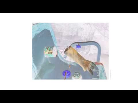 © peter j. bregulla contribution to Cheo Chai-Hiang's  "Don't Sit On Me"