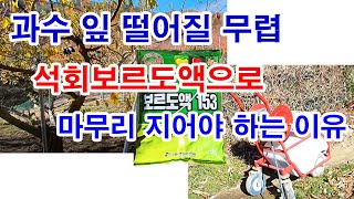 과수 잎 떨어질 무렵 석회보르도액으로 마무리 지어야  하는 이유 (과수 재배, 과수 병충해 방제법, 과수 가…