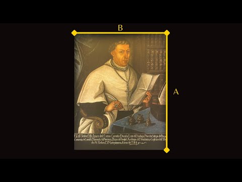vídeo intitulado Números de Fibonacci à solta no museu
