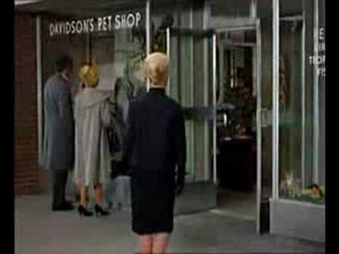 Alfred Hitchcock Cameo in The Birds!