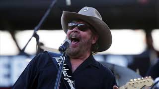 Hank Williams Jr - I’m For Love