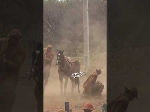 Pega de boi em Dom Inocêncio-PI #pegadeboinomato #romariofeitosa