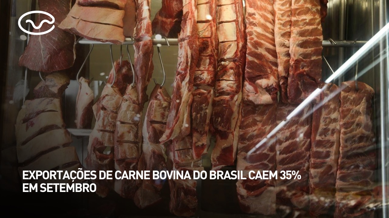 Exportações de carne bovina do Brasil caem 35% em setembro