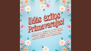 Baila Mi Corazón (Radio Edit)