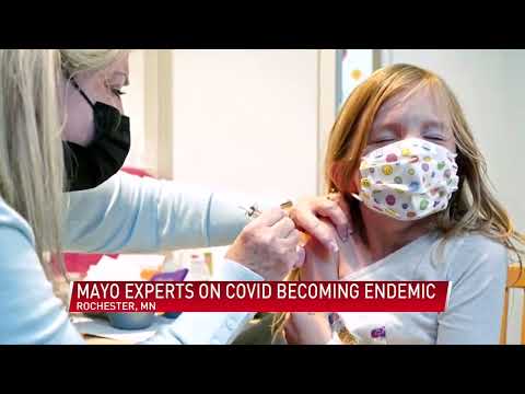 Mayo Clinic experts on COVID becoming Endemic