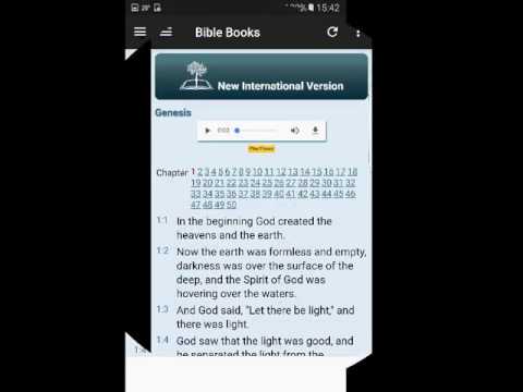 Audio Bible NIV Free Video