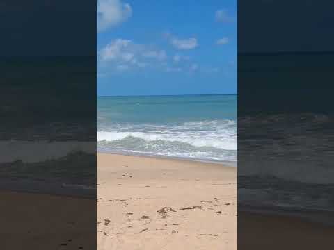 #PraiaDoCoqueirinho ☀️🌊🌴⛱️ #Conde #Paraiba