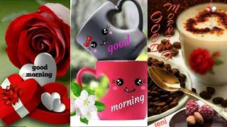 Cute Dp images collection  Good Morning Dpz  whats
