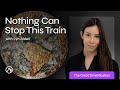 Our Financial Predicament From A Systems Perspective With Lyn Alden TGS 188