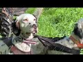 Birddog Training Midnight Kennel Style!