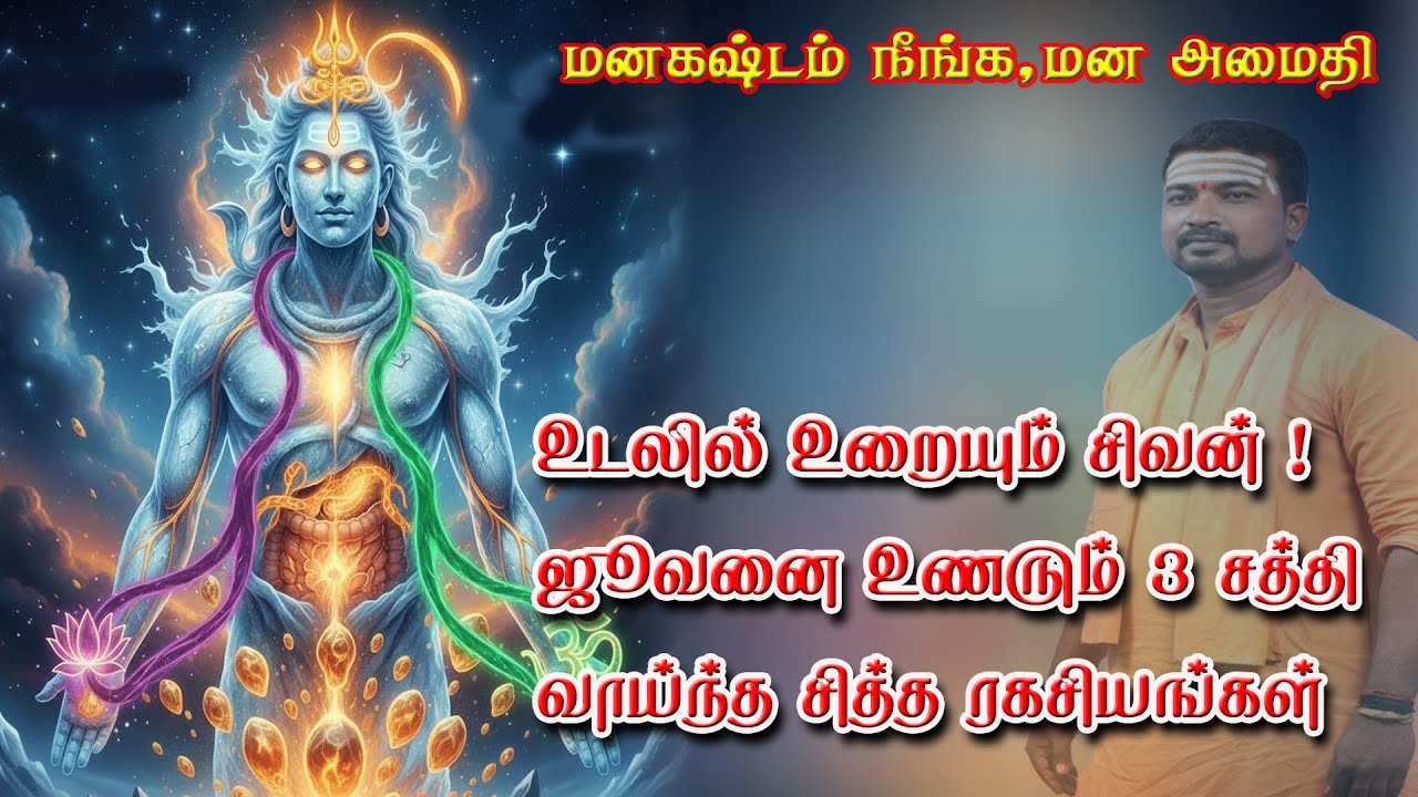 உடலில் உறையும் சிவன்! ஜீவனை உணரும் 3 சக்தி வாய்ந்த சி?