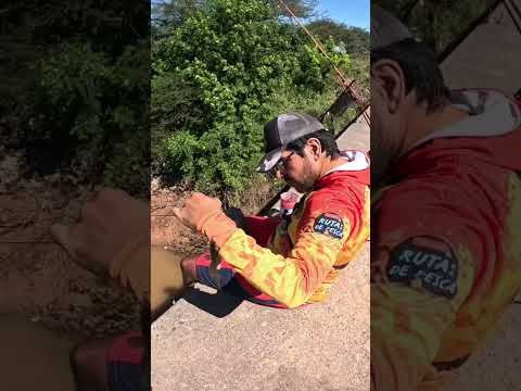 🔥MUCHA Pesca y Cocina🔥 Los Puestos y Arroyo Mista #pesca #fishing #argentina #tucuman #fish