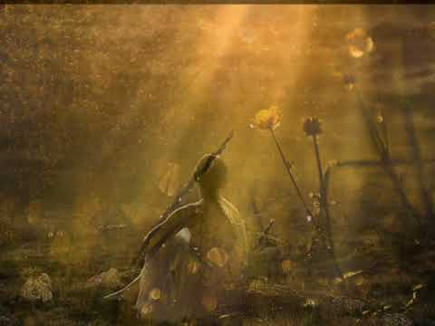 "Cantiques et cantates de Salomon""Glorious et Natasha St-Pier"