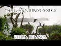 The Myna Bird's Dobro by Keola Beamer | Hawaiian Classic Mēle